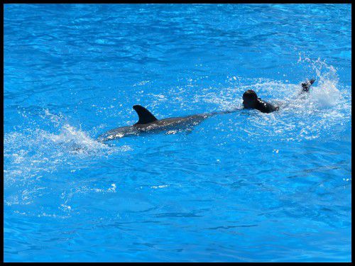 MarineLand à Antibes