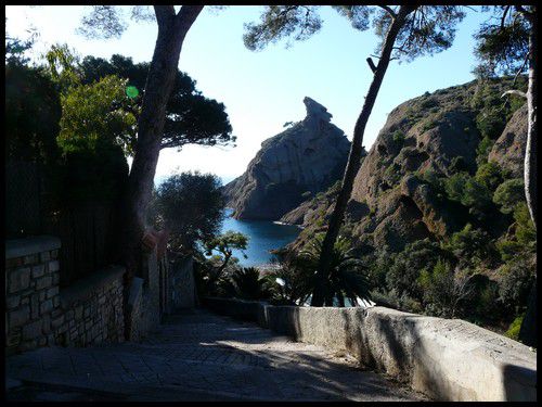 Calanque de Figuerolle à Cassis