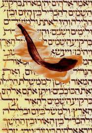 gif shofar et torah.jpg