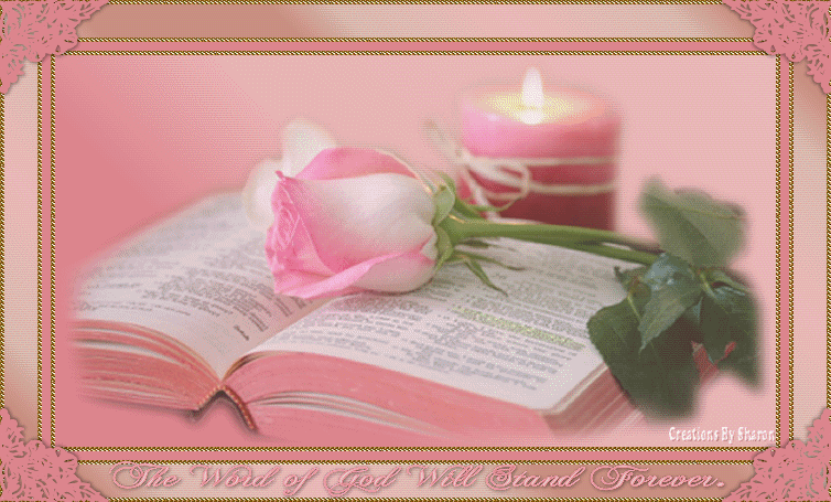 bible rose bougie allumée sur fond rose.gif