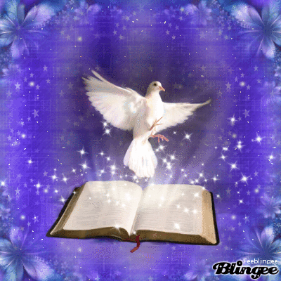 bible colombe scintillante fond bleu.gif