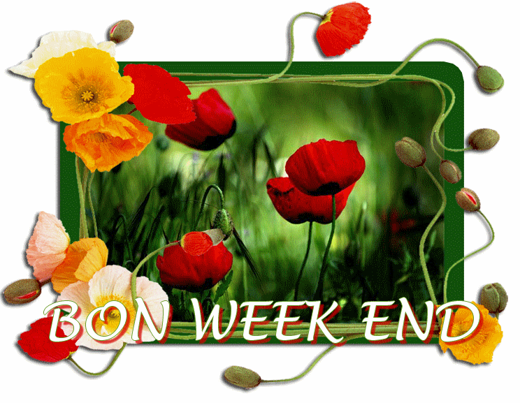 bon week end cadre fleuri.gif