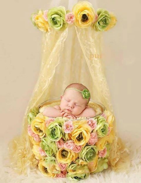 bébé dans panier de roses.jpg