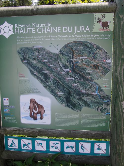 Voyage dans le haut Jura, été 2013.