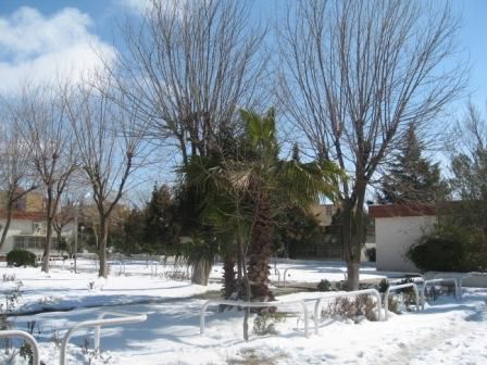 IFEP de sétif sous la neige (février 2013)