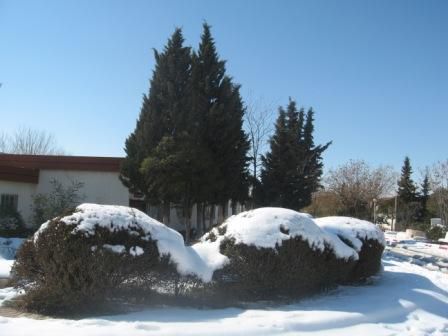 IFEP de sétif sous la neige (février 2013)