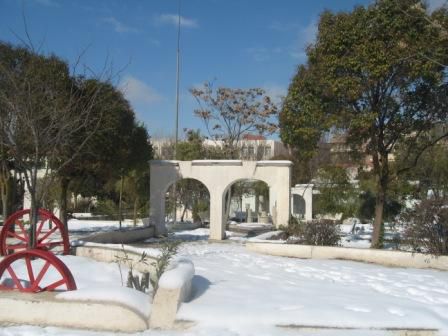 IFEP de sétif sous la neige (février 2013)