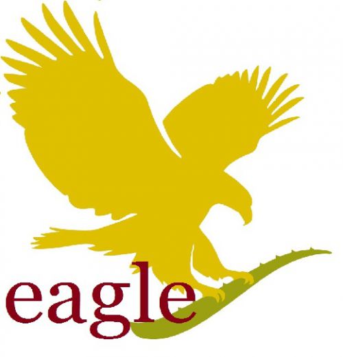 Eagle Logo