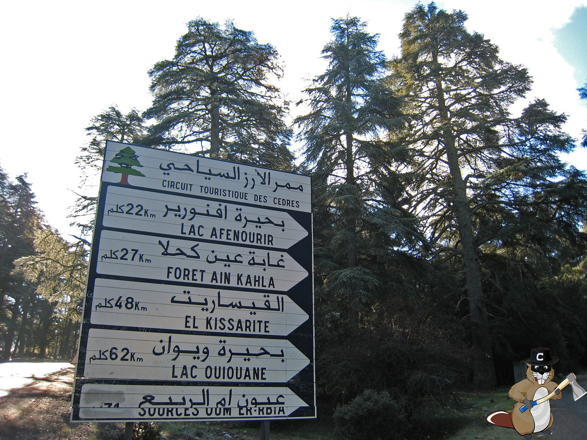 azrouMaroc2007-257.jpg