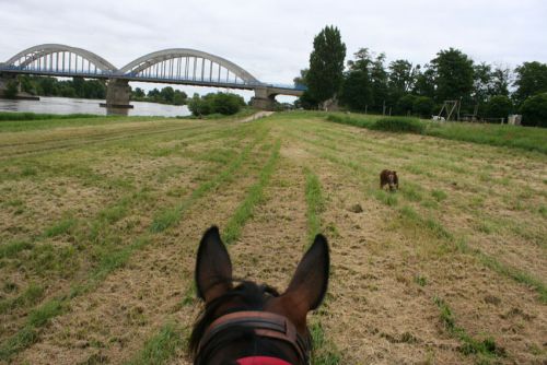 Le pont de Muides