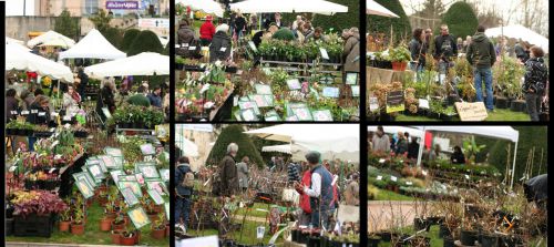 Fête des plantes St Priest