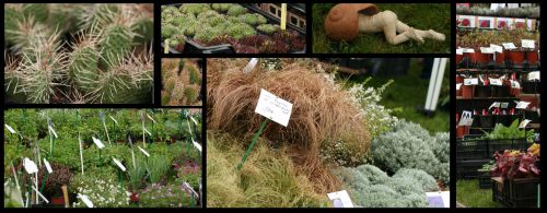 Fête des plantes St Priest