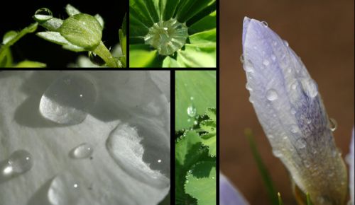 Après la pluie