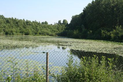 Baignade cracranesque