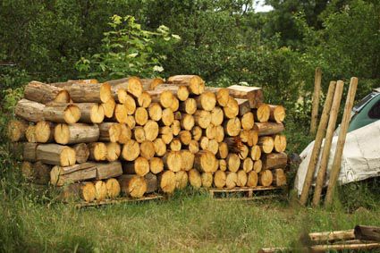 Depuis, il a encore pris de la hauteur