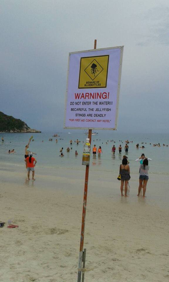 jellyfish-warning-sign-koh-phangan-01.jpg