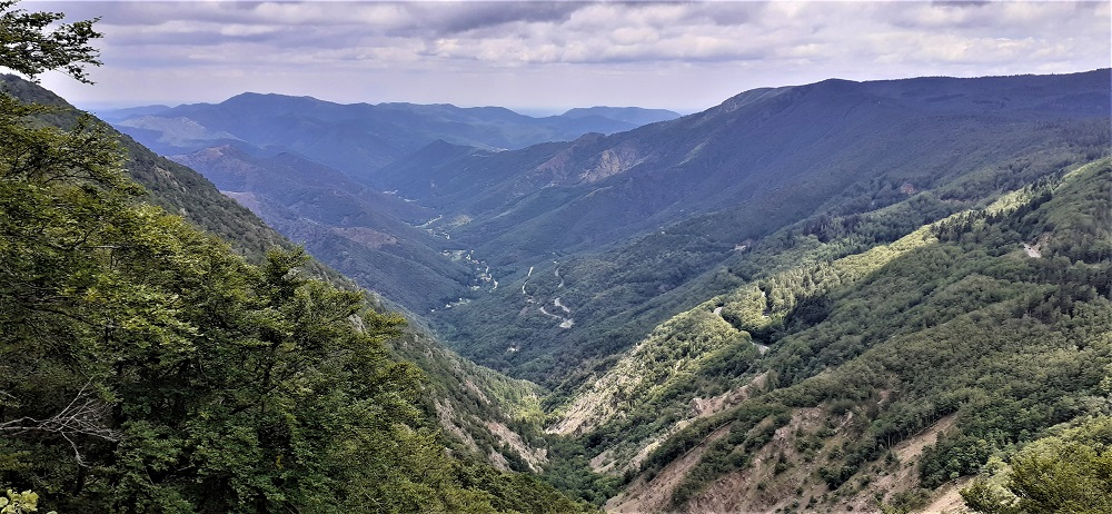 magnifiques vues au Mont Aigoual