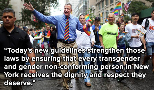 Loi Protection Trans New York.jpg