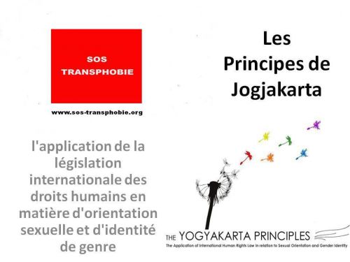 Les Principes  de  Jogjakarta  SOS TRANSPHOBIE