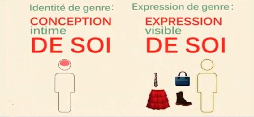 Identité de Genre et Expression de Genre