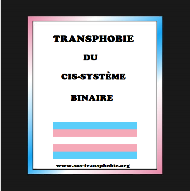 Transphobie du Cisgenre-Système Binaire