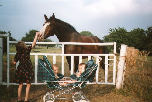 Les chevaux, c'est avant tout une histoire de famille