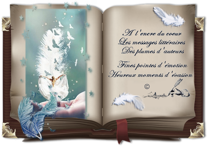 https://static.blog4ever.com/2012/07/706101/Arc-en-ciel-Septembre-plumes-d--auteurs-livre-assombri.png