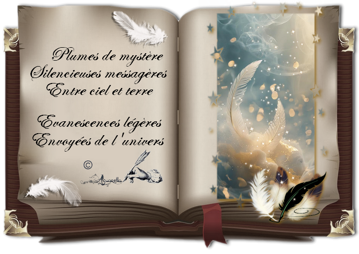 https://static.blog4ever.com/2012/07/706101/Arc-en-ciel-Septembre-plumes-de-myst--re.png