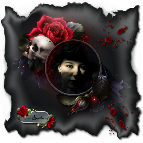 https://static.blog4ever.com/2012/07/706101/Sombre-d--couverte1_10493446.png