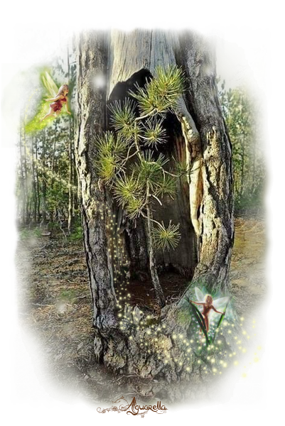 https://static.blog4ever.com/2012/07/706101/envie-de-vivre-d--un-arbre.png