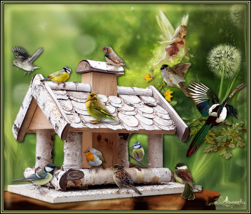 https://static.blog4ever.com/2012/07/706101/maison----oiseaux---fond-f--e.png