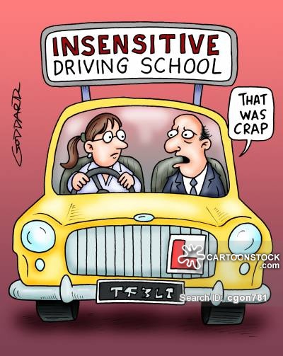 education-teaching-driving_school-driving_lesson-driving_teacher-driving_instructor-rude-cgon781_low.jpg