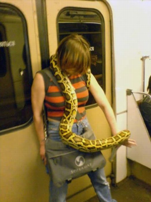 woman-with-snake-on-subway.jpg