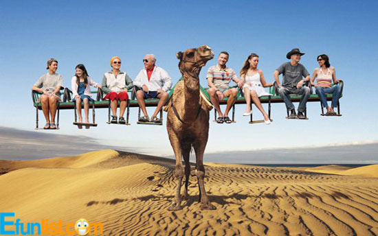 funny-travel-of-desert.jpg
