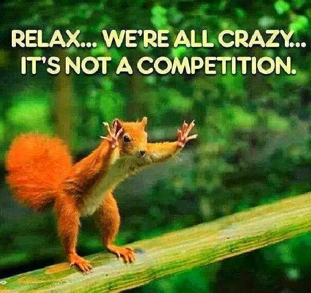funny meme relax we are all crazy it's not a competition.jpg