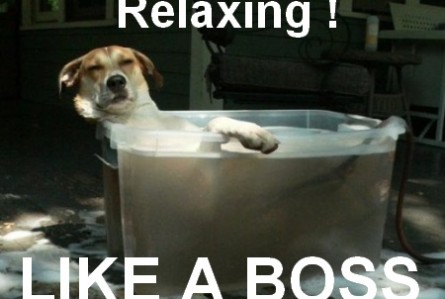 relaxing-quotes-funny-i9.jpg