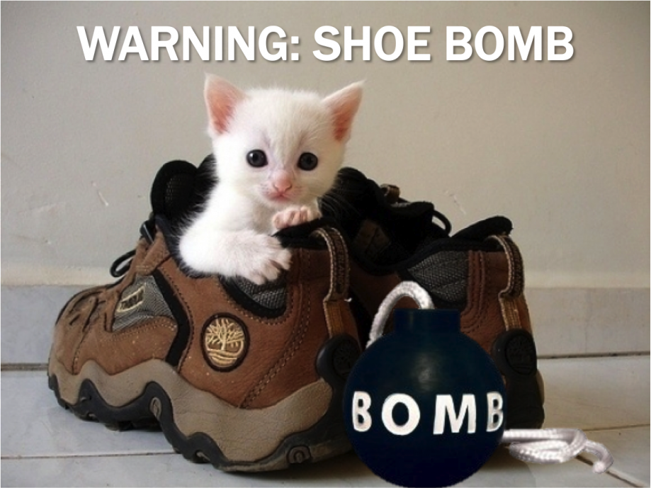 Current-Event-Cat-Shoe-Bomb.png