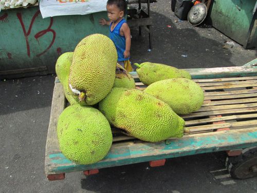 Un fruit qui pue : le durian