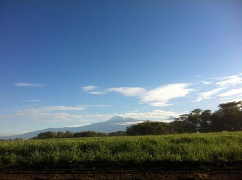 sugar-fields-and-kilimanjaro.jpg
