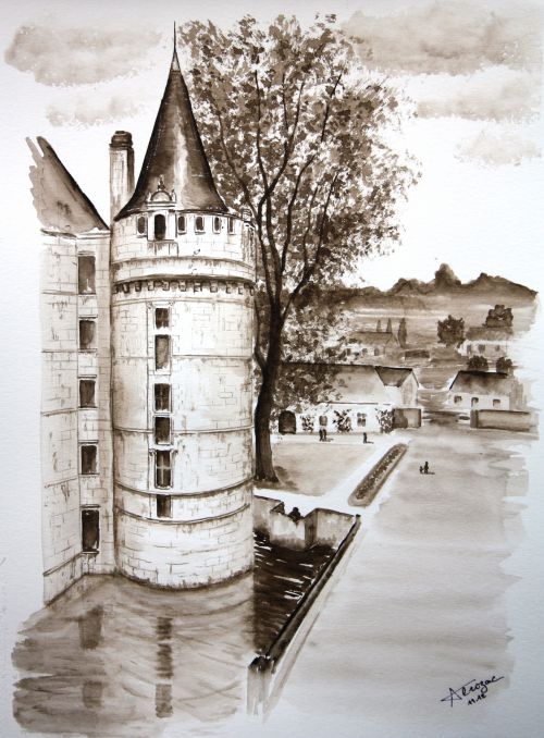 Chateau d'Azay le rideau