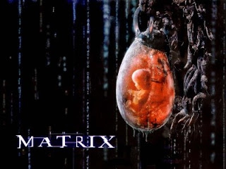 matrix_27.jpg