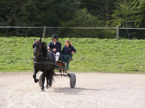 Avec ma soeur et mon père à l'attelage