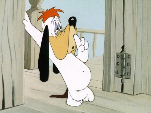 droopy_52513.jpg