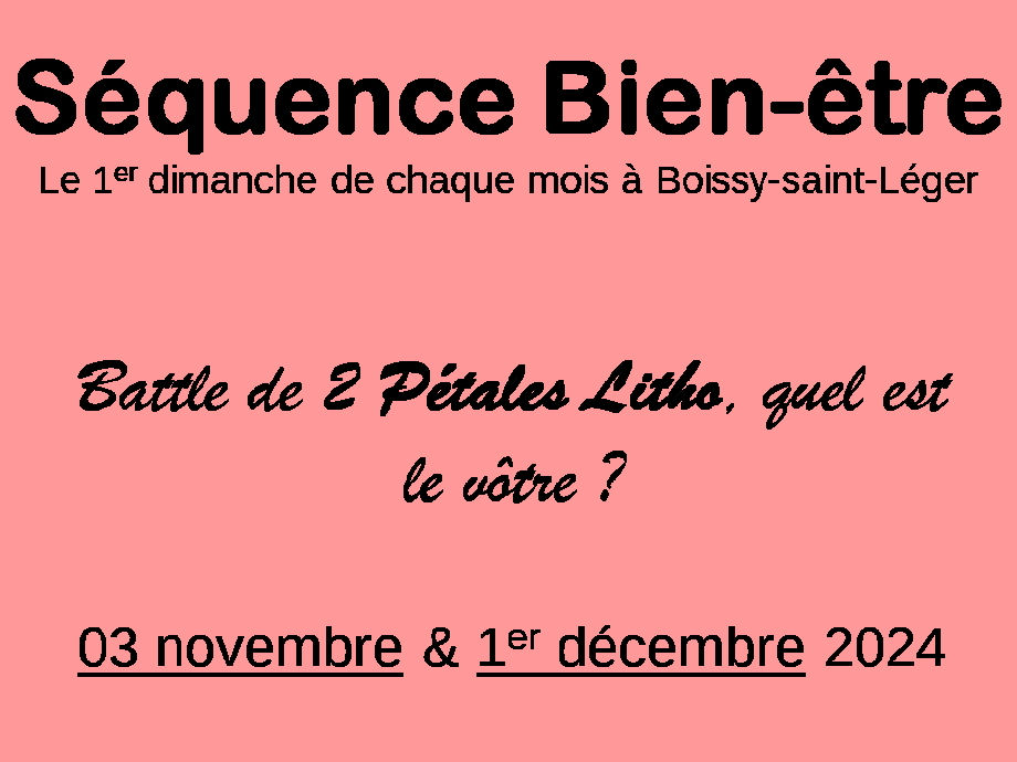 CALENDRIER SEQBIENETRE NOVDEC24 png.png