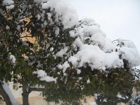 Neige à Sétif le 24 janvier 2013