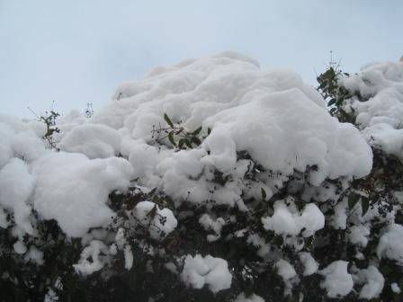 Neige à Sétif le 24 janvier 2013