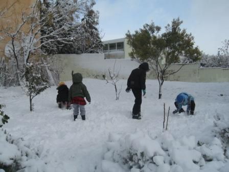 Photos neige du 25 janvier 2013 à Sétif