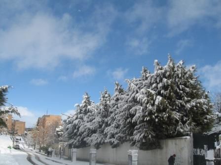 Photos neige du 25 janvier 2013 à Sétif