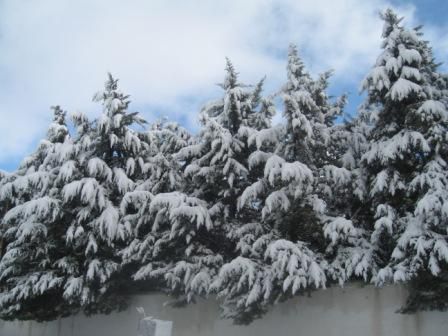 Photos neige du 25 janvier 2013 à Sétif