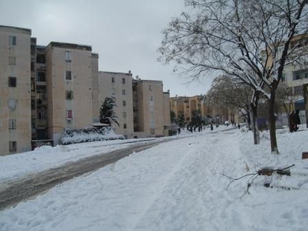 Photos neige du 25 janvier 2013 à Sétif